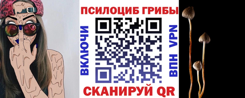 купить закладку  дарк нет формула  Псилоцибиновые грибы Magic Shrooms  Темрюк 