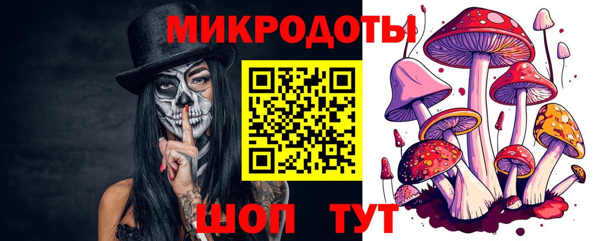 Галлюциногенные грибы Cubensis Темрюк