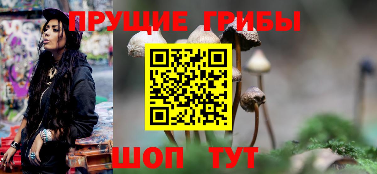Темрюк  Галлюциногенные грибы мухоморы  что такое   Вход с VPN 